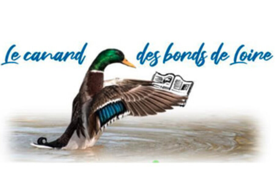 Le canard des bords de Loire – octobre 2024